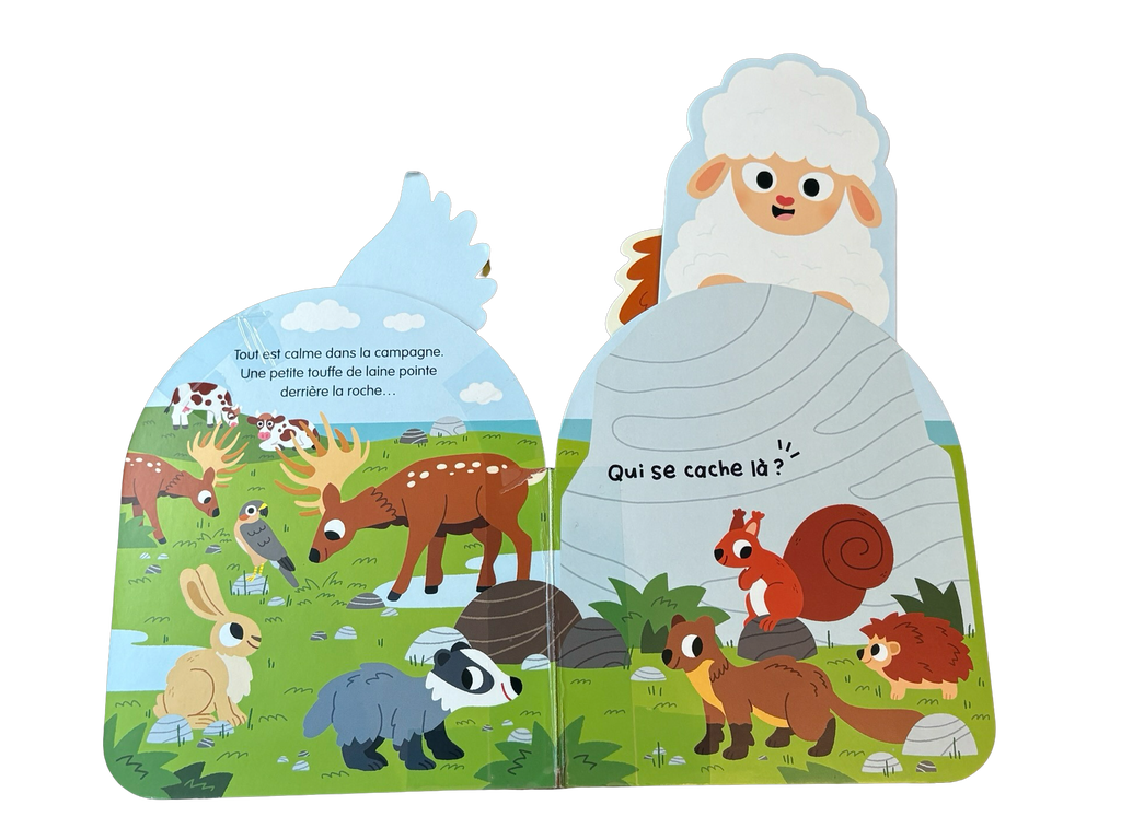 LIVRE Sonore À qui sont ces drôles de crêtes? *IMPARFAIT*