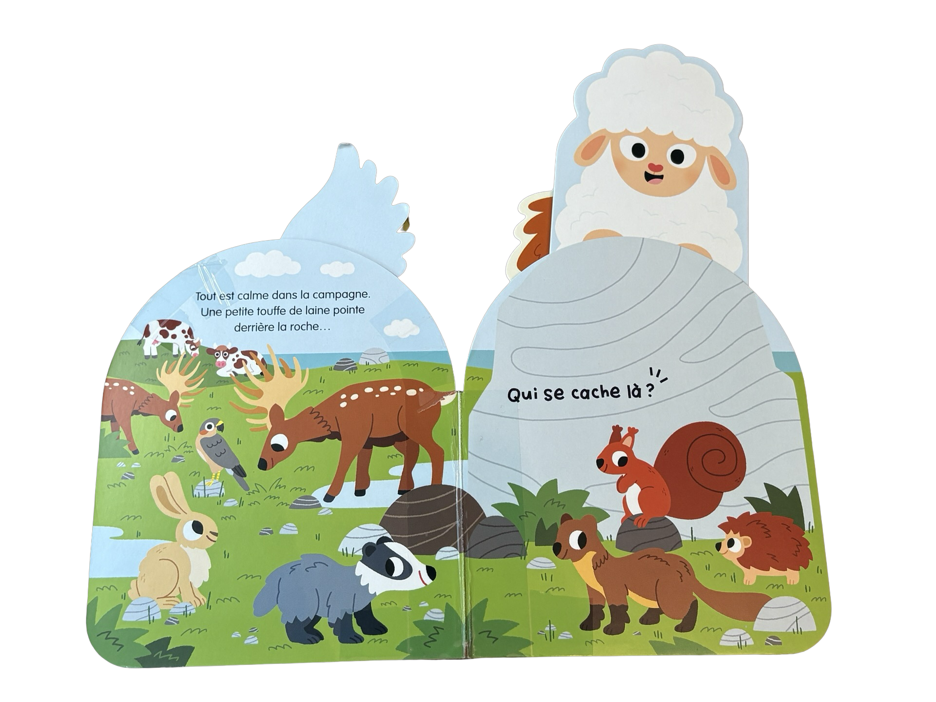LIVRE Sonore À qui sont ces drôles de crêtes? *IMPARFAIT*