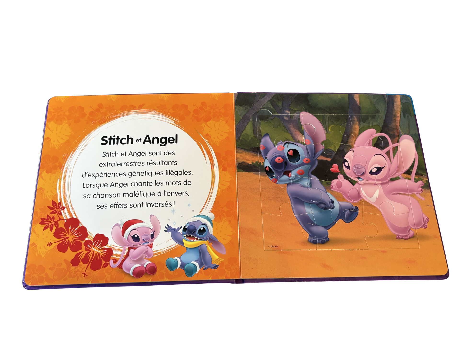 LIVRE DISNEY Casse-tête