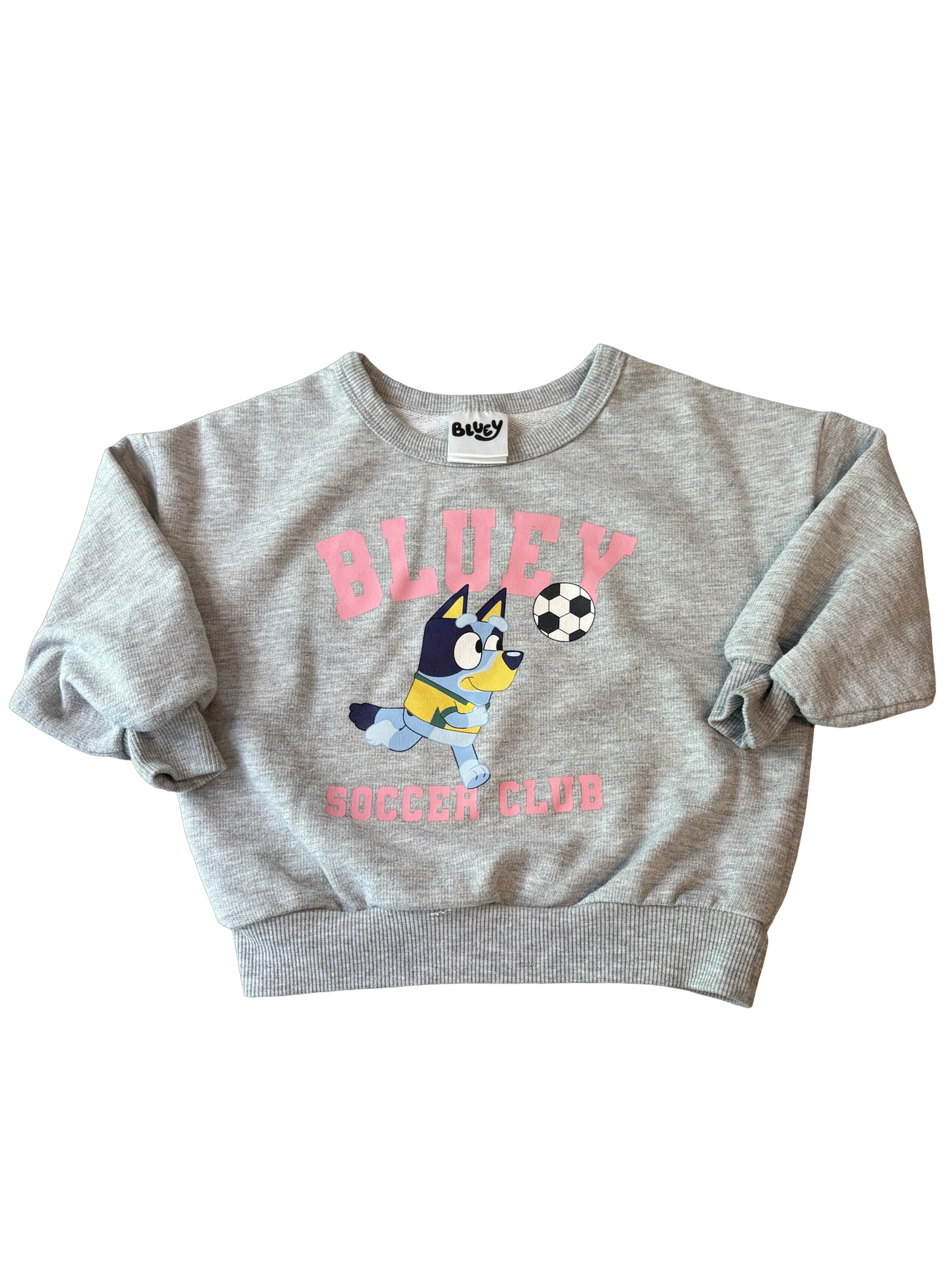 BLUEY Chandail 2 ans