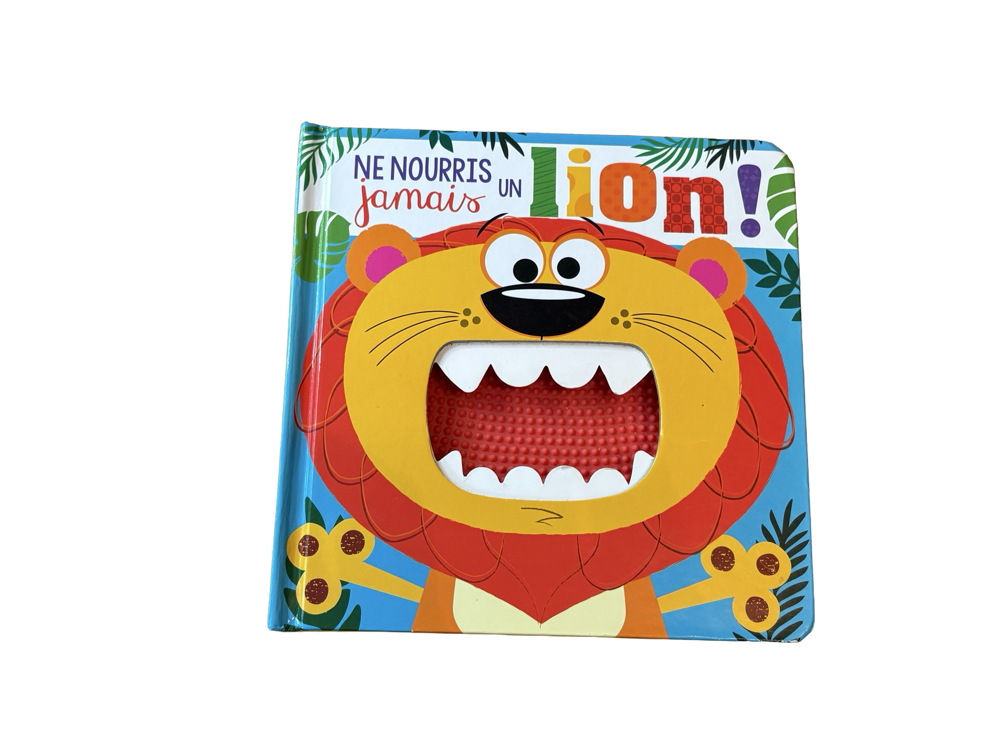 LIVRE Ne nourris jamais un lion