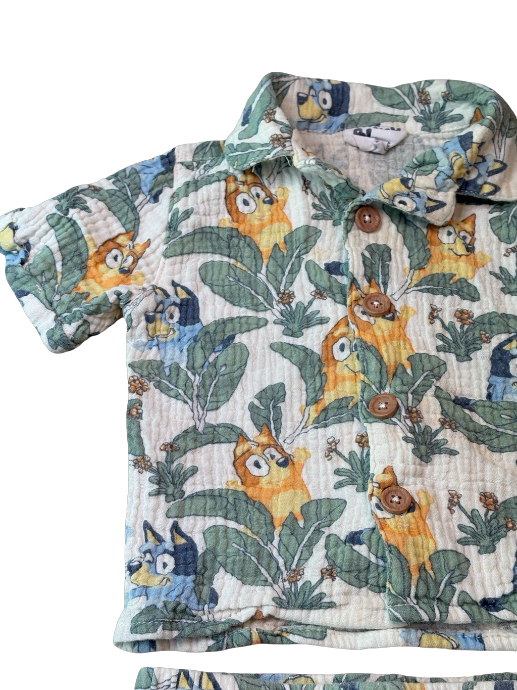 BLUEY Ensemble 12 mois