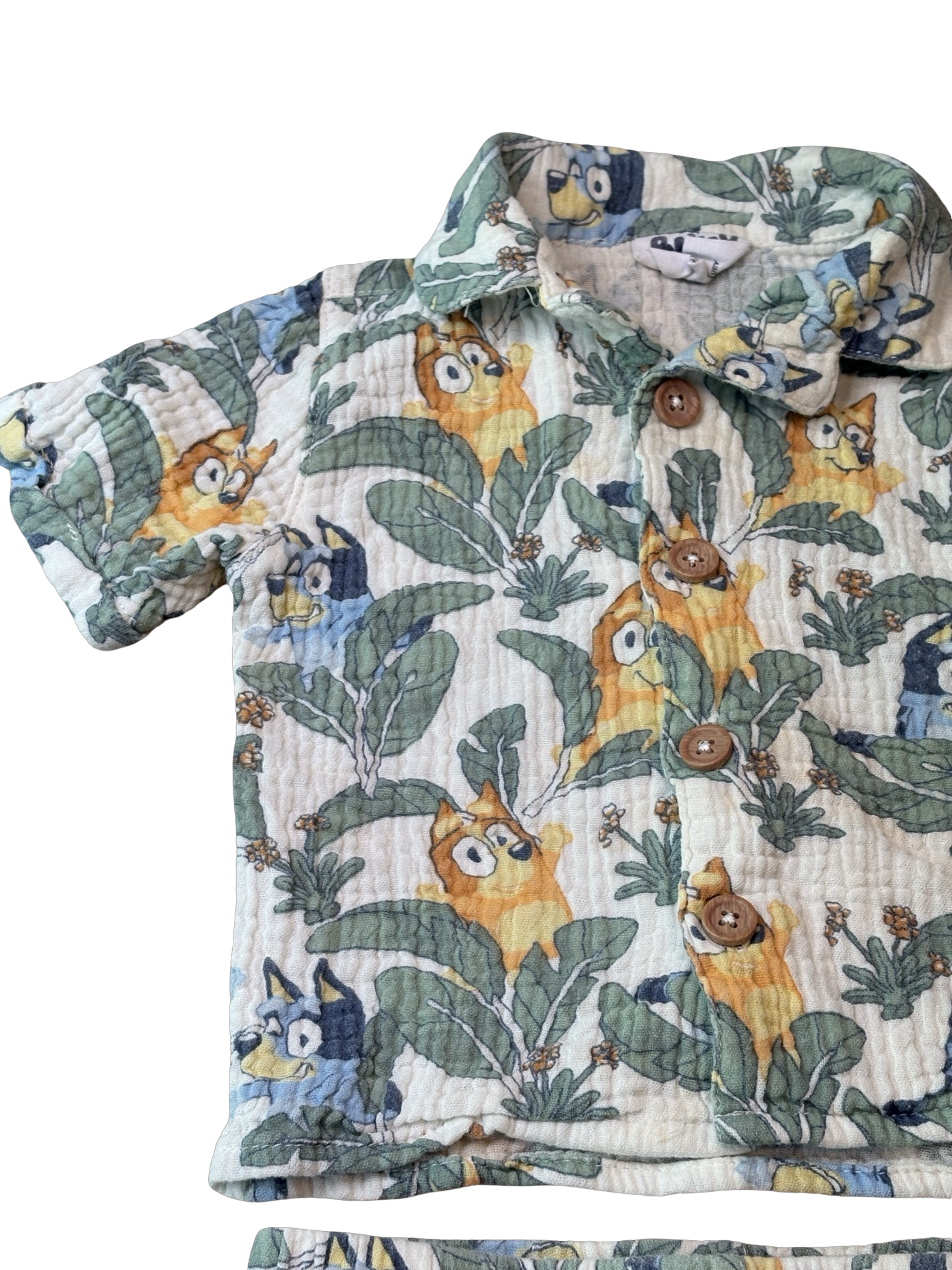 BLUEY Ensemble 12 mois
